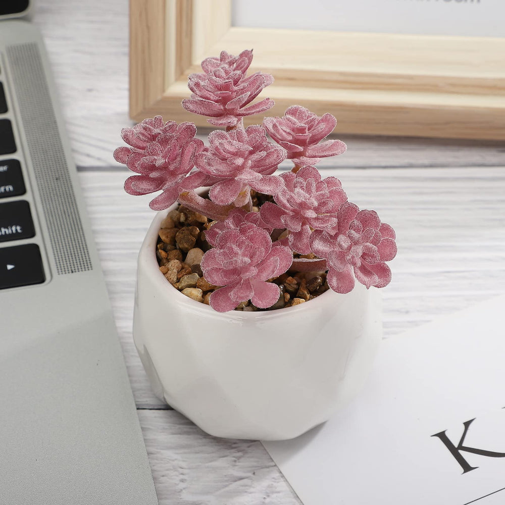 Artificial Succulent Plants Set of 4, Mini Life-Like Faux Succulents in White Ceramic Pots for Office Desk, Home Shelve, Fake Desk Plants for Home and Office Decoration