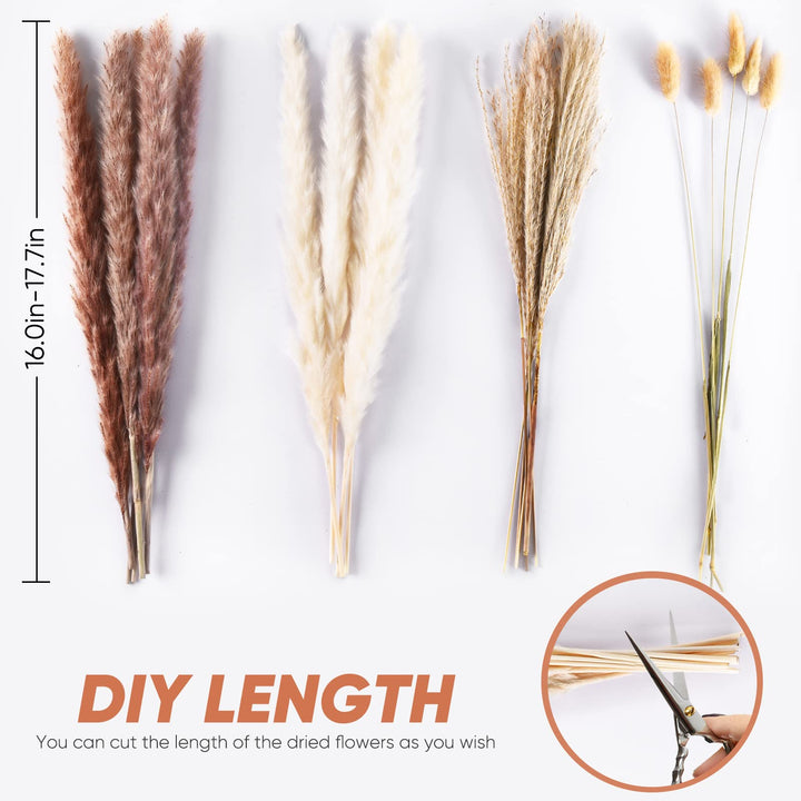 Natural Dried Pampas Grass Décor | 80Pcs Pampas Grass Vase Filler | 15 Pcs White and Brown Each | 20Pcs Bunny Tails | 30 Pcs Natural Reed Grass | Natural Home Décor Pompas Grass for Boho Vase(18 Inch)