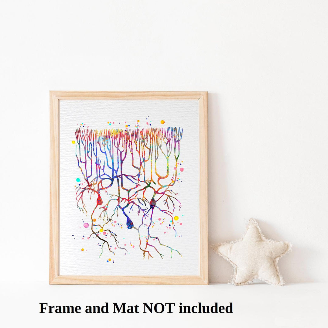 Dignovel Studios 8X10 Unframed Purkinje Neuron Watercol