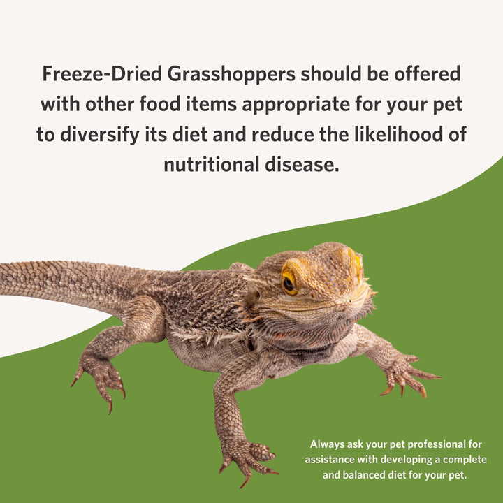 Fluker's Freeze Dried Grasshoppers, Nutrient-Packed, Ideal for Lizards, Reptiles, Birds, Fish, Hedgehogs, 1.7 oz
