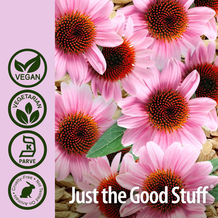 Nature&#39;s Answer Echinacea &amp; Astragalus | Supports a Healthy Immune System | Vegan, Non-GMO &amp; Kosher Certified |Capsules 90Ct