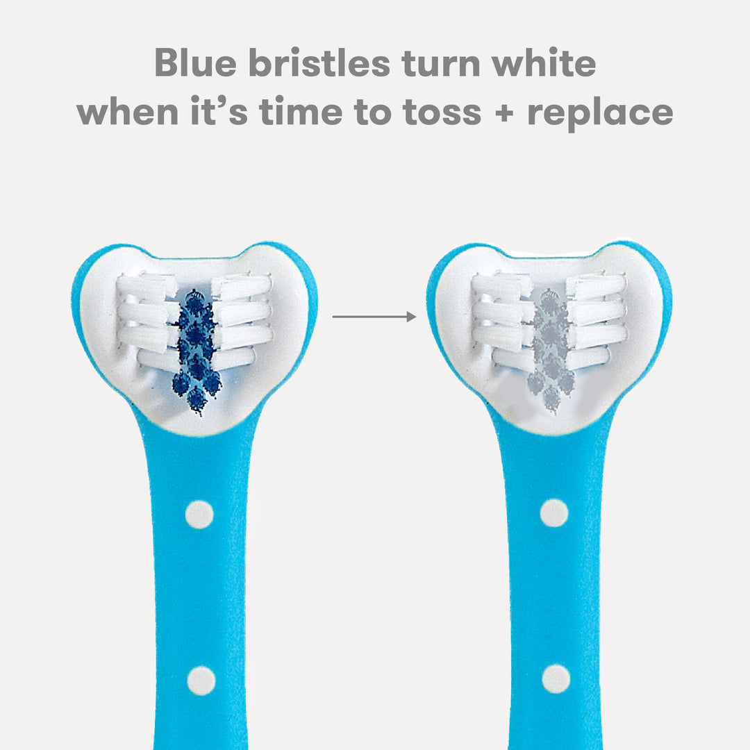 Frida Baby Triple-Angle Toothhugger Training Toddler Toothbrush | Toddler Toothbrush 2 Years and Up, Cleans All Sides at Once | Blue