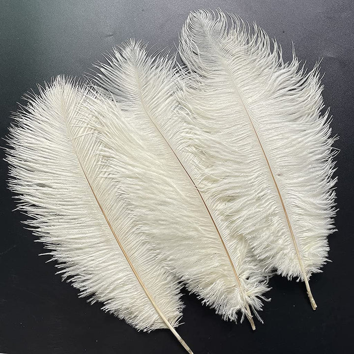 20pcs Natural Ostrich Feathers 10-12 inch(25-30cm) Plume for Wedding Decoration Costume Customization and Halloween Party Carnival (Ivory)