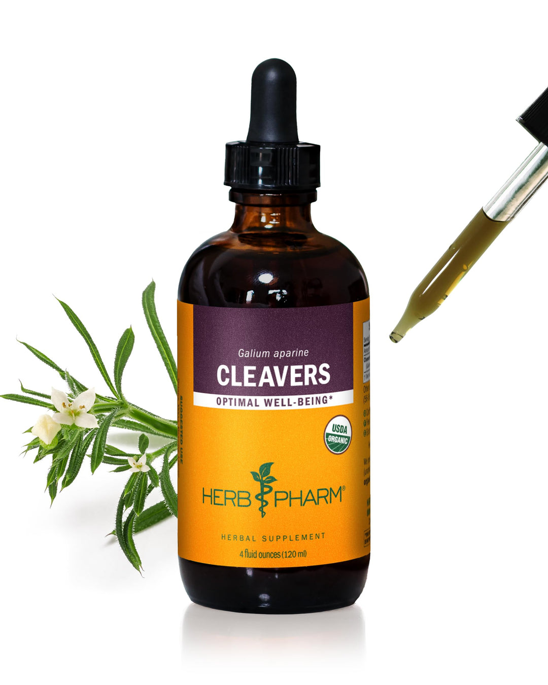 Cleavers Liquid Extract - 4 Ounce