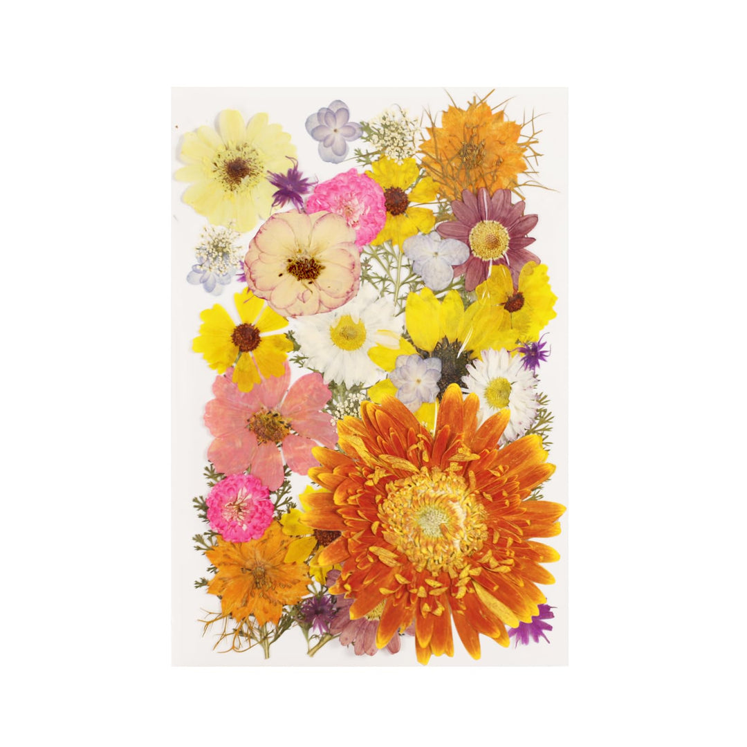 Assorted Real Dried Pressed Flowers Combination Real Dried Pressed Leaves Combination Natural Dry Flowers Leaves (57 Pieces)