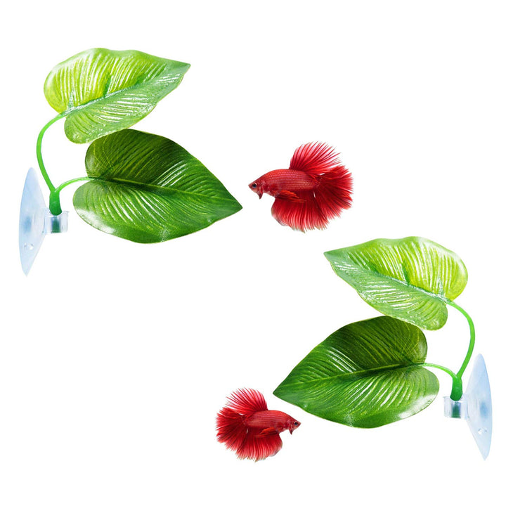 2 Pack Betta Fish Leaf Pad Improves Betta&#39;s Health by Simulating The Natural Habitat - Natural, Organic, Comfortable Rest Area for Fish Aquarium Ornaments
