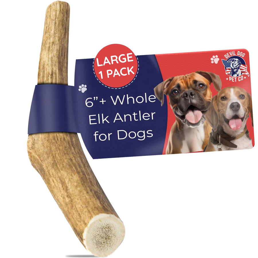 . Elk Antlers for Dogs, Large 6+, 1 Pack, Grade A Long Lasting Chew for Aggressive Chewers, Premium USA Naturally Shed Antler – Healthy, No Odor, Durable Dog Chew