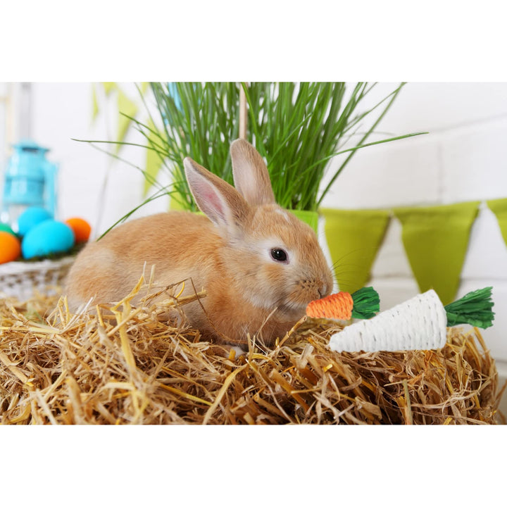 Rabbit Chew Toys 12PCS, Guinea Pig Toys, Bunny Toys for Teeth, Chew Toys and Treats for Rabbit Guinea Pig Hamster Chinchilla, Small Animal Teeth Care