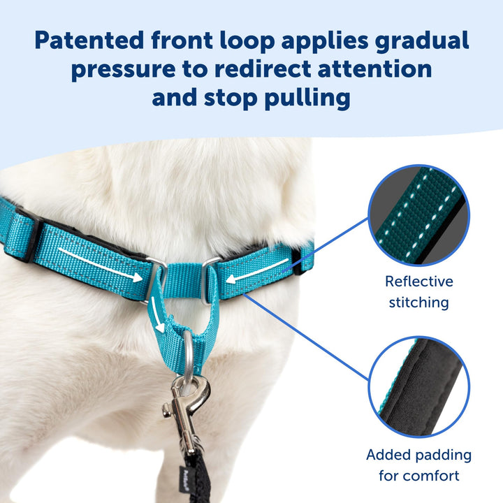 Easy Walk Deluxe Dog Harness, No Pull Dog Harness – Perfect for Leash &amp; Harness Training – Stops Pets from Pulling and Choking on Walks – Medium/Large, Ocean