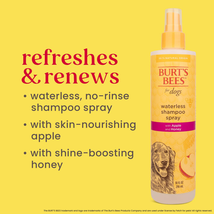 Burt&#39;s Bees for Pets Waterless Shampoo Spray for Dogs with Apple and Honey, 99.1% Natural Origin Formulas, Waterless Dog Shampoo - Gentle Dry Shampoo for Dogs, Best Dog Shampoo, 10 oz