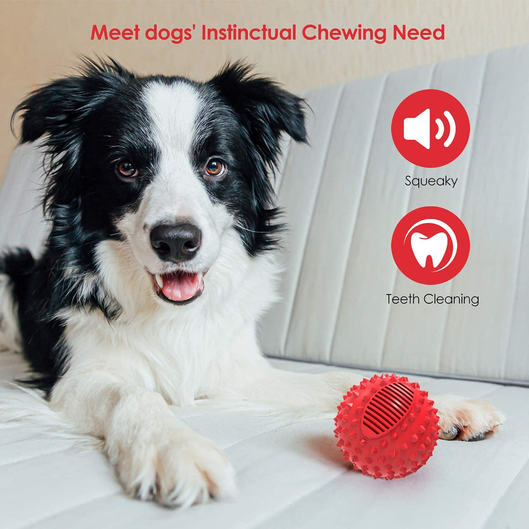 4 Squeaky Dog Balls for Aggressive Chewers, Durable Interactive Dog Chew Toys for Teething, Floatable Indestructible Rubber Spiky Ball, Tough Pet Toys for Small, Medium &amp; Large Breeds