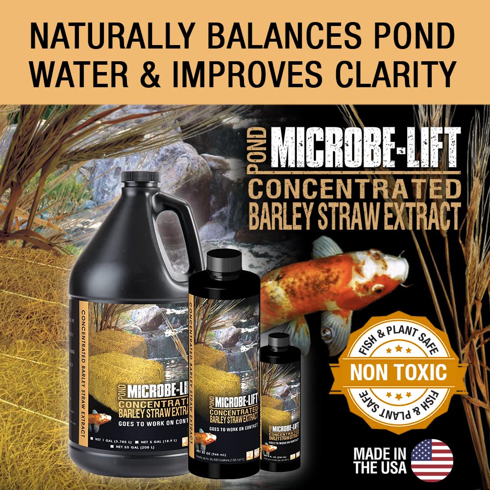 MLCBSEG4 Concentrated Barley Straw Extract Conditioner for Ponds and Outdoor Water Garden, Safe for Live Koi Fish, Plants, and Decorations, 1 Gallon