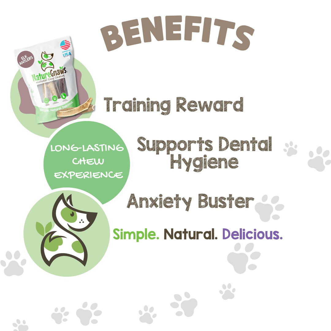 USA Elk Antlers for Dogs 5-8 (3 Count) - Mix of Split and Whole Pieces - Long Lasting for Aggressive Chewers - Natural Dog Chew Bones