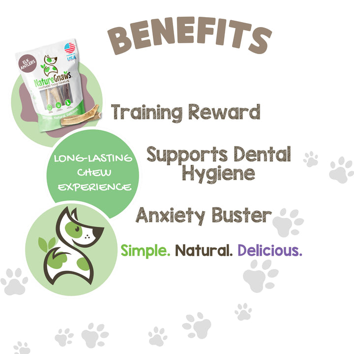 USA Elk Antlers for Dogs 5-8 (3 Count) - Mix of Split and Whole Pieces - Long Lasting for Aggressive Chewers - Natural Dog Chew Bones