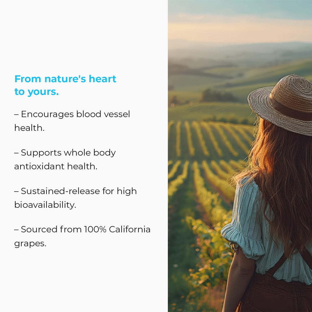 MegaNatural BP, Grape Seed Extract Supplements with Sustained-release California Grape Seed Extract Herbal Supplements for Optimized Absorption &amp; Supports Energy, 150 mg, 120 Tablets