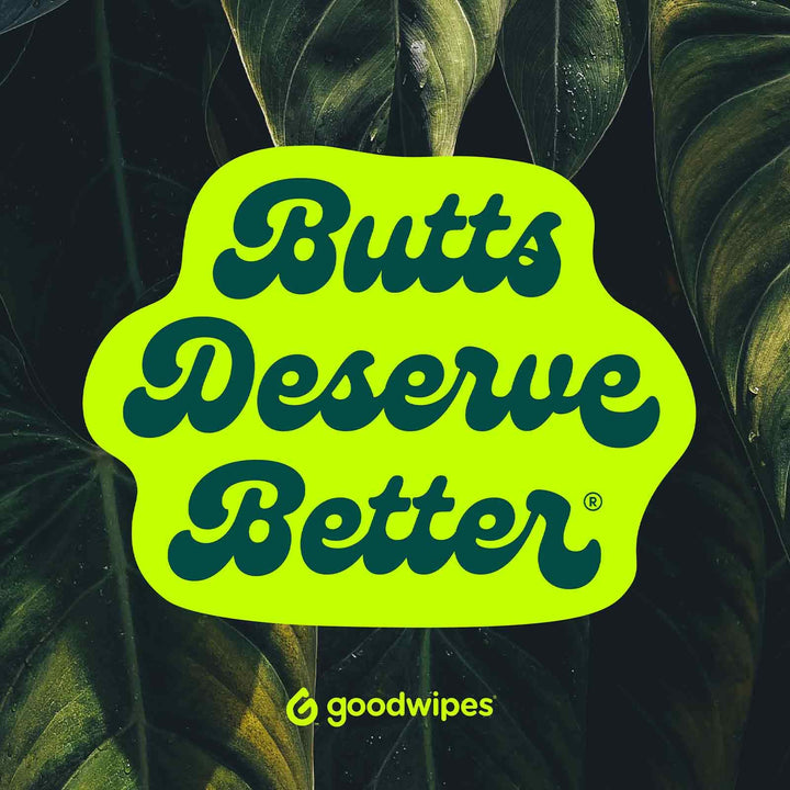 GoodWipes Down There Wipes for Women, Feminine Wipes, 5