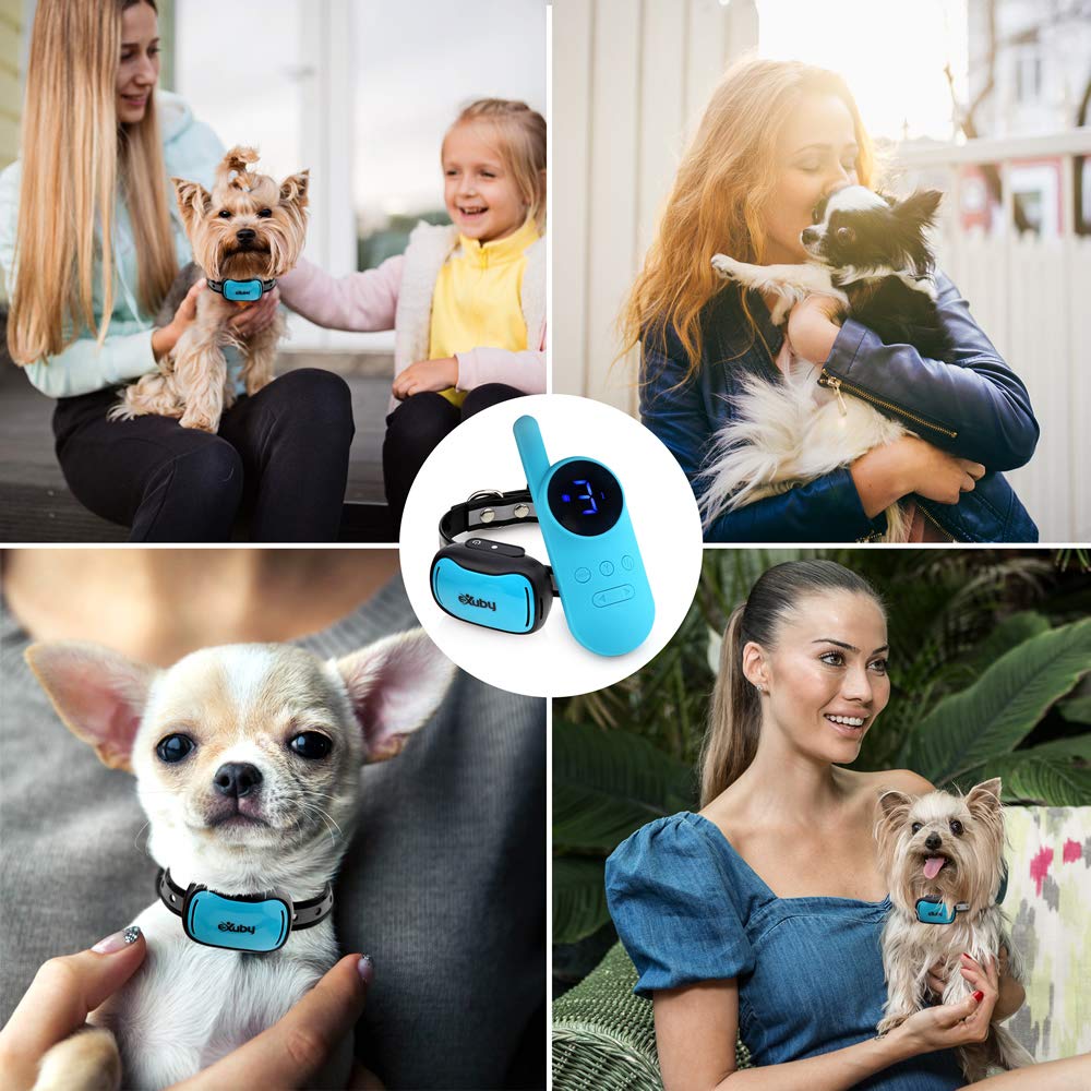 - Tiny Shock Collar for Small Dogs 5-15lbs - Smallest Collar on The Market - Sound, Vibration, & Shock - 9 Intensity Levels - Pocket-Size Remote - Long Battery Life - Water-Resistant (Teal)