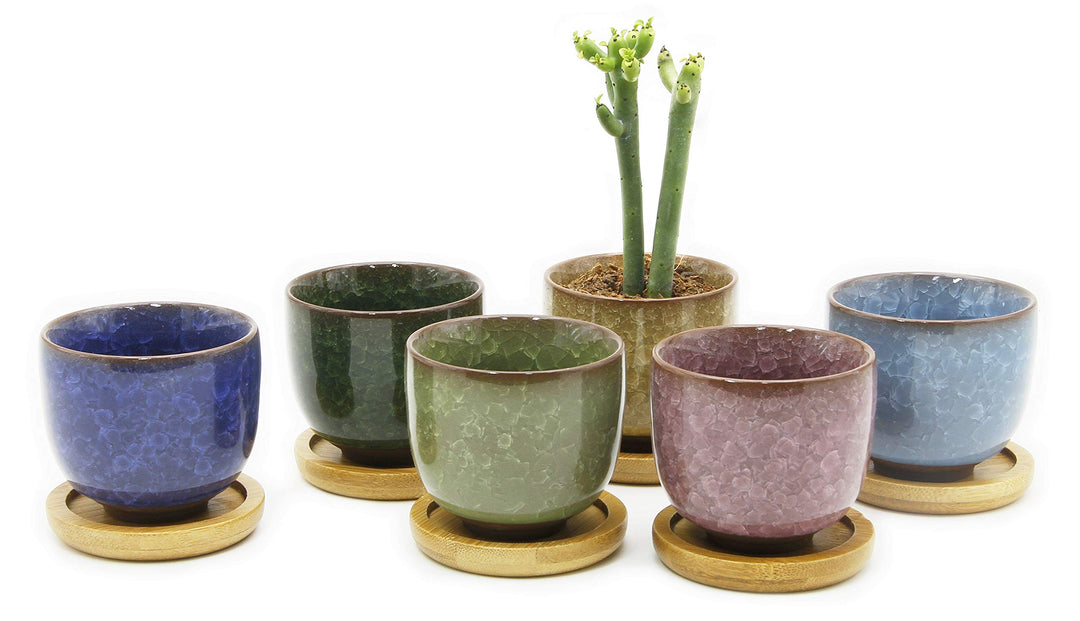 Ice Crack Zisha Serial Ceramic Flowing Glaze Succulent Plant Pot (6pcs with Bamboo Drip Tray)