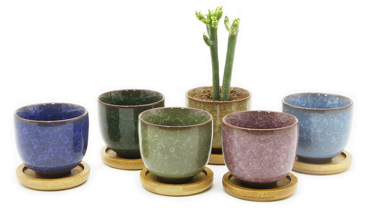 Ice Crack Zisha Serial Ceramic Flowing Glaze Succulent Plant Pot (6pcs with Bamboo Drip Tray)
