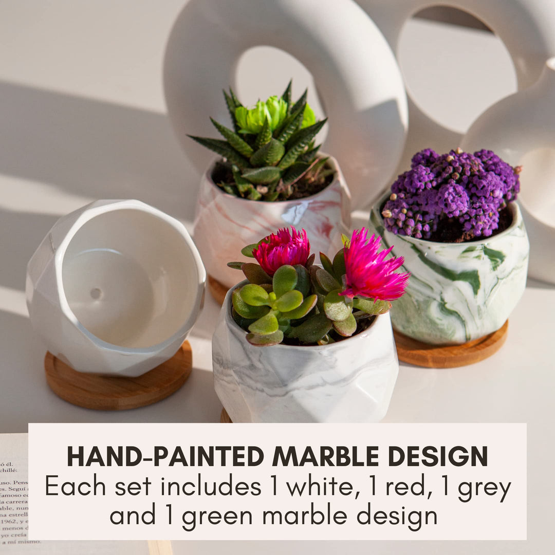 Succulent Pots Set of 6, Plant Pots Indoor, Succulent Planters, Small Plant Pots, Cactus Pot, Cute Plant Pots, Small Flower Pots, Small Succulent Pot, Small Planter Set