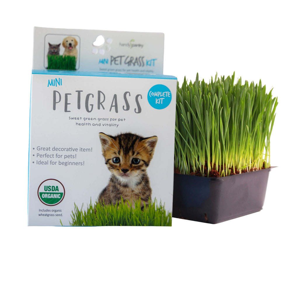 Organic Cat Grass Kit - Includes 1 Tray, 1 Soil Puck, and Non GMO Wheatgrass Seed - A Healthy Treat for Cats, Dogs, Rabbits, and More