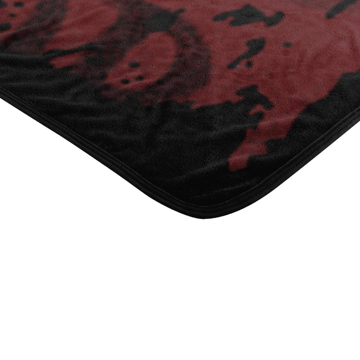 Northwest Harry Potter Micro Raschel Throw Blanket, 46 