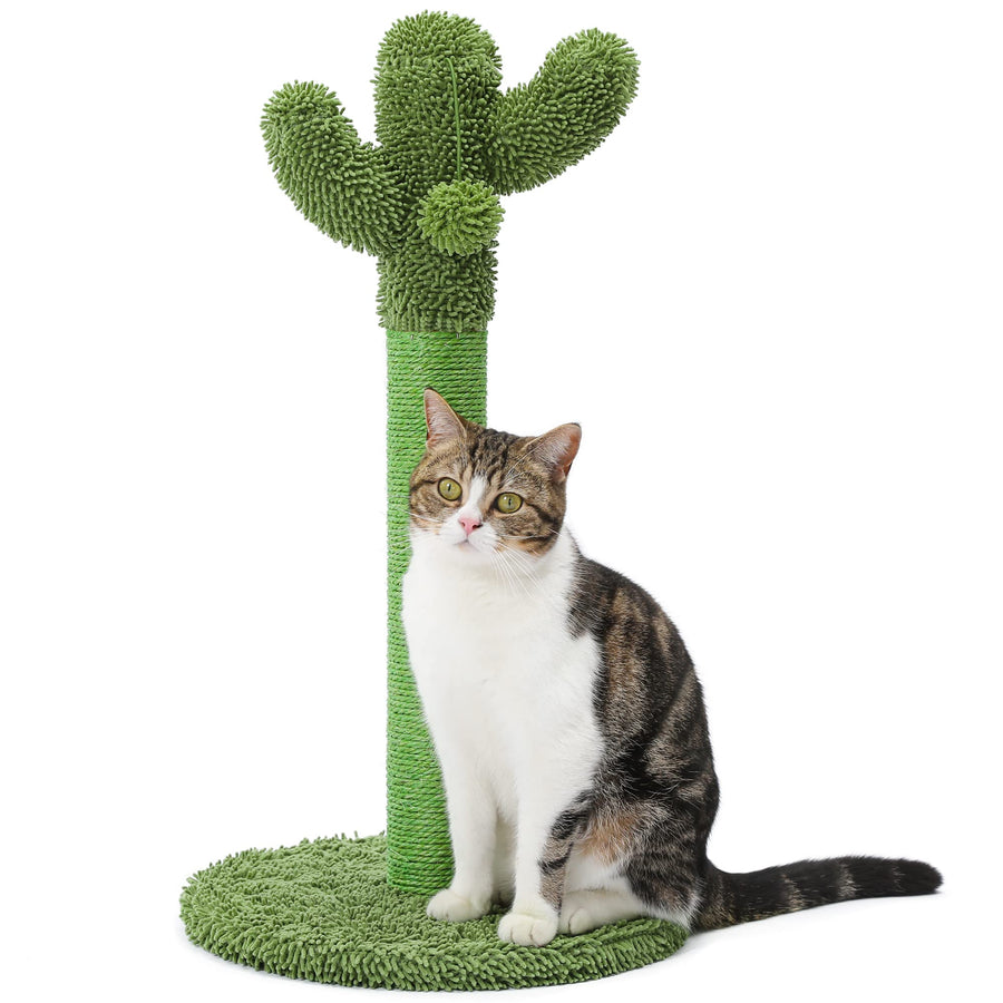 Made4Pets Cat Scratching Post, 21.7 Cactus Cat Scratcher Kitten Scratching Post with Natural Sisal Rope for Indoor Cats Claw Scratcher, Cat Tree with Dangling Balls for Small Kittens