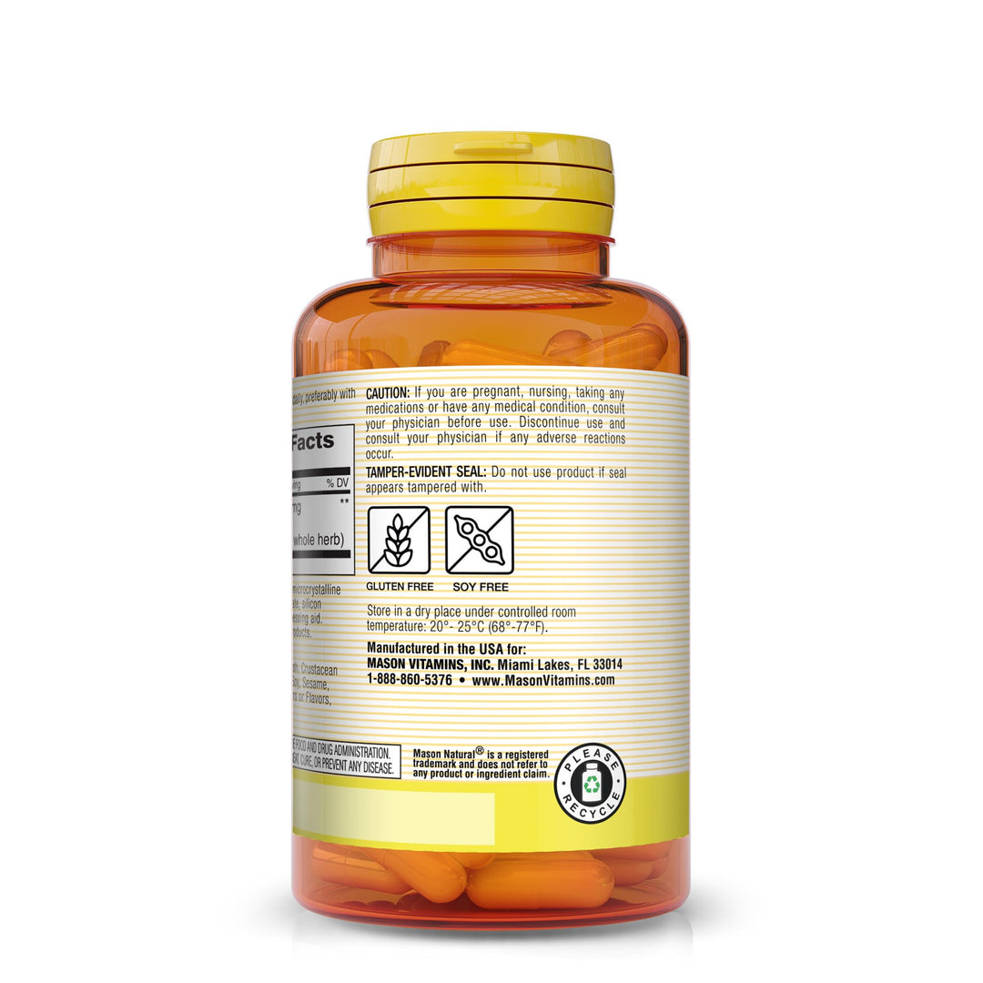 Mason Vitamins Gingko Biloba Capsules, 90 Count