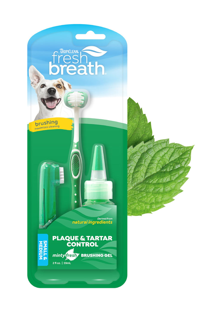 Fresh Breath Toothbrush and Toothpaste Kit for Dogs, Teeth Cleaning Kit for Plaque &amp; Tartar Removal, Breath Freshener, Dog Dental Care