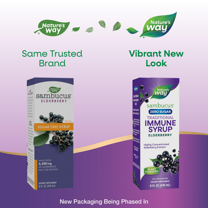 Nature’s Way Sambucus Zero Sugar Traditional Immune Syrup, Highly Concentrated Black Elderberry Extract, Traditional Immune Support*, Sugar-Free, Berry Flavored, 8 Fl Oz (Packaging May Vary)