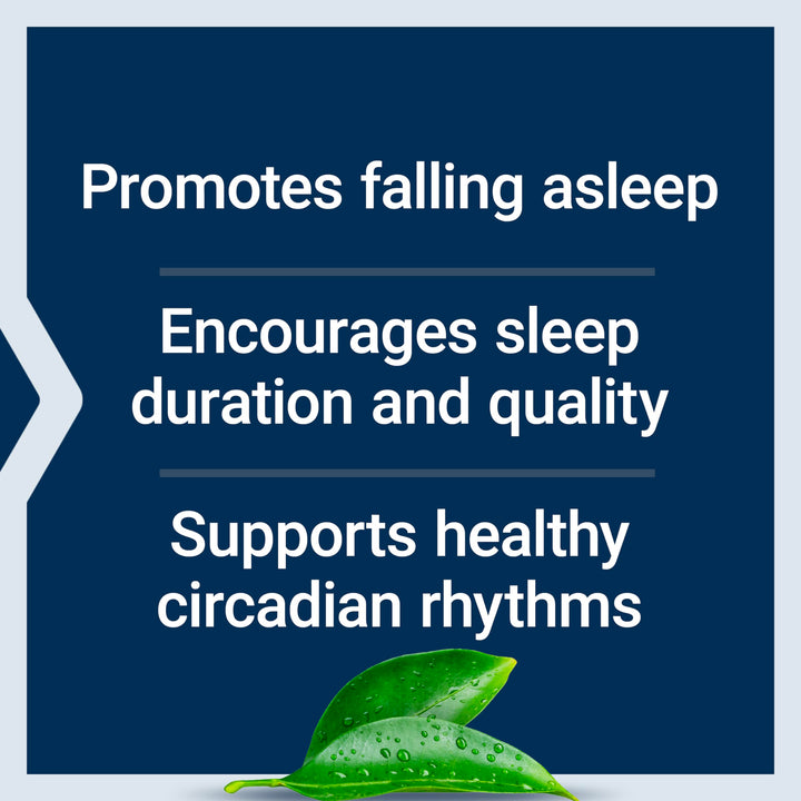 Melatonin 6 Hour Timed Release, 300 mcg, Extended-Release Formula for Gentle Sleep Support, Healthy circadian Rhythms, Cellular Defense, Gluten-Free, Non-GMO, Vegetarian, 100 Tablets
