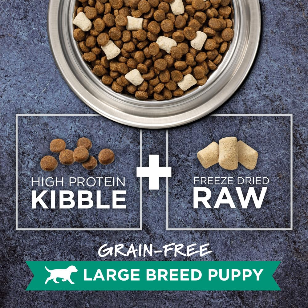 Raw Boost Large Breed Puppy, Natural Dry Dog Food with Freeze Dried Pieces, Grain Free Recipe - Real Chicken, 20 lb. Bag