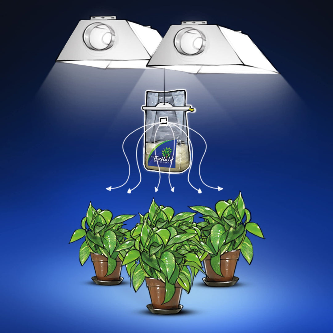 Homegrown CO2 Original - CO2 Bag for Indoor Grow Rooms &amp; Tents - Great for Indoor Grow Rooms - CO2 for Grow Tents - 4 lbs.