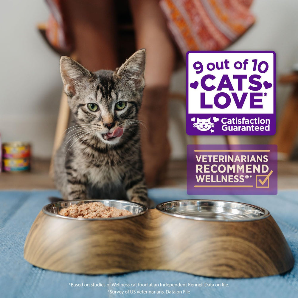 CORE Signature Selects Shredded Adult Wet Cat Food, Natural, Protein-Rich, Grain Free, 2.8 Ounce, 12 Pack (Chicken & Turkey)
