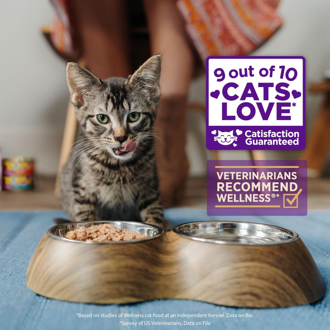 Healthly Indulgence Gravy Adult Wet Cat Food, Natural, Protein-Rich, Grain Free, 3 Ounce Pouch, 24 Pack, (Chicken &amp; Turkey)