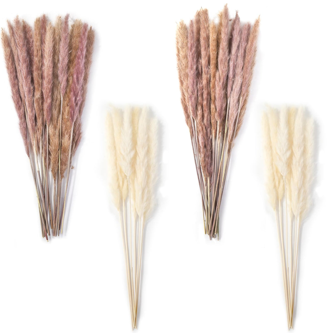 DomeStar 36PCS Pampas Grass, Natural Dried Pampas Reed Grass Plume Wedding Flower