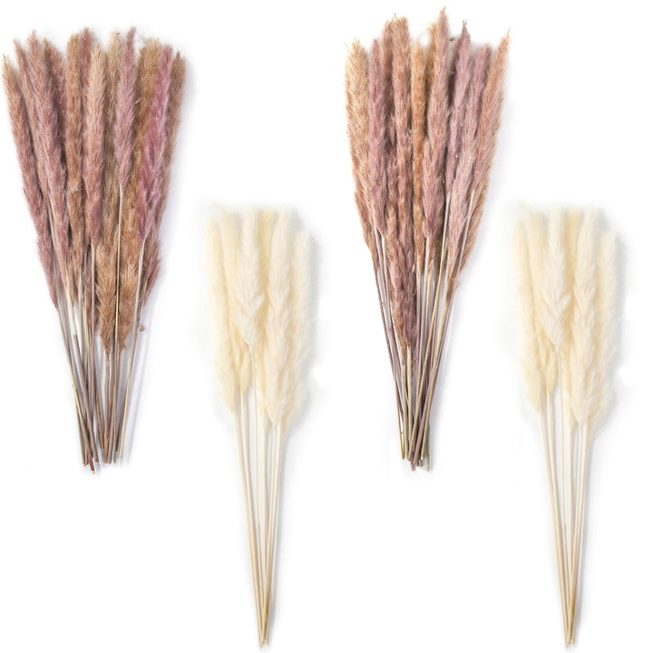 DomeStar 36PCS Pampas Grass, Natural Dried Pampas Reed Grass Plume Wedding Flower