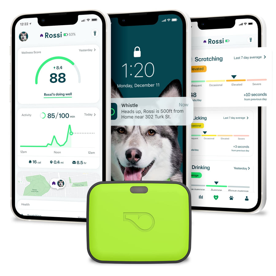 Go Explore/The Ultimate Health + GPS Location Tracker for Pets/Green (100-04202-00)