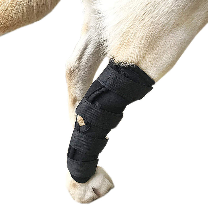 Alfie Pet - Jaelin Dog Rear Leg Hock Braces - Color: Black, Size: XL