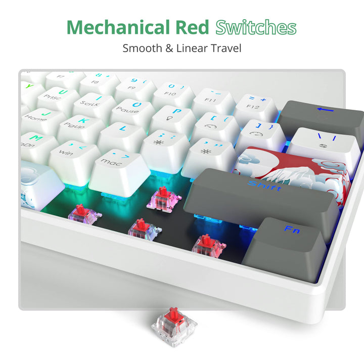 RGB Mechanical Keyboard 60 Percent Red Switches, Ultra-Compact Mini Wired Gaming Keybaord with Backlit PBT Dye-Sub Keycaps for Win/Mac/PC (White/Red Switch)