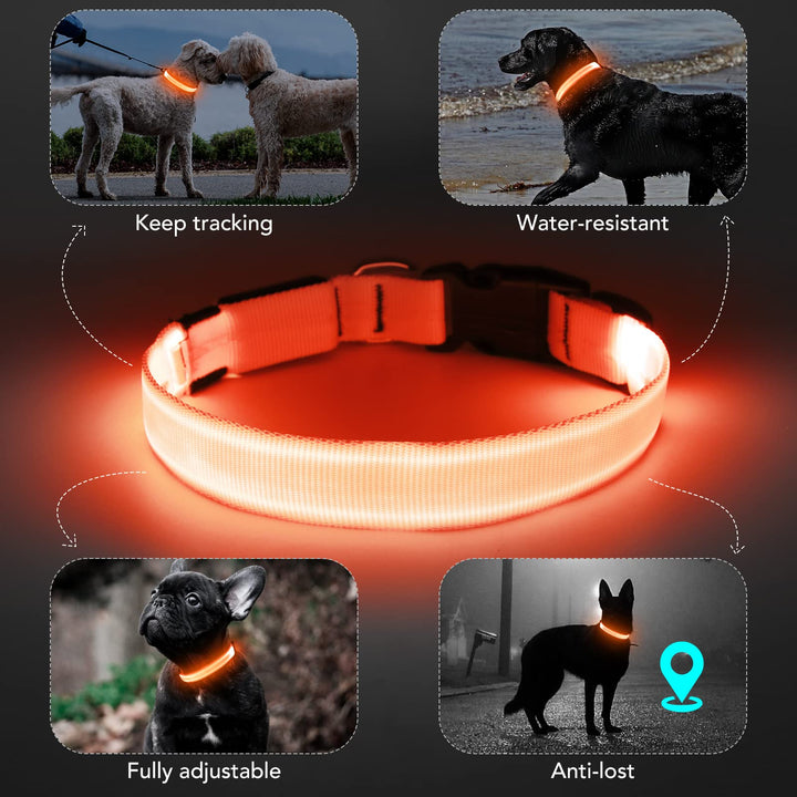 Light Up Dog Collar at Night, Led Dog Collar Adjustable, Lighted Dog Collar Rechargeable Waterproof, Dog Lights for Night Walking, Glow in The Dark Dog Collars Light for Medium Large Dogs OM