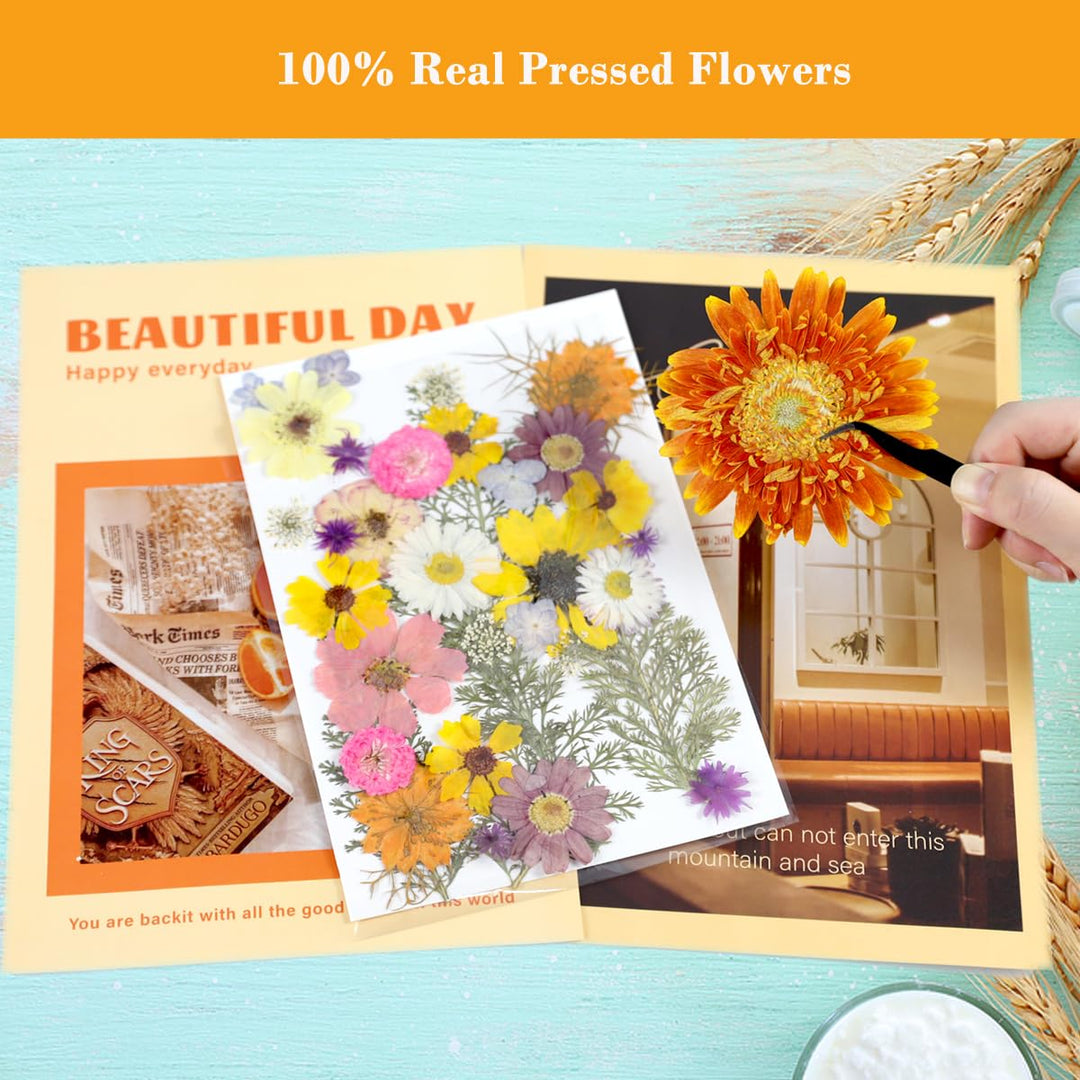Assorted Real Dried Pressed Flowers Combination Real Dried Pressed Leaves Combination Natural Dry Flowers Leaves (57 Pieces)