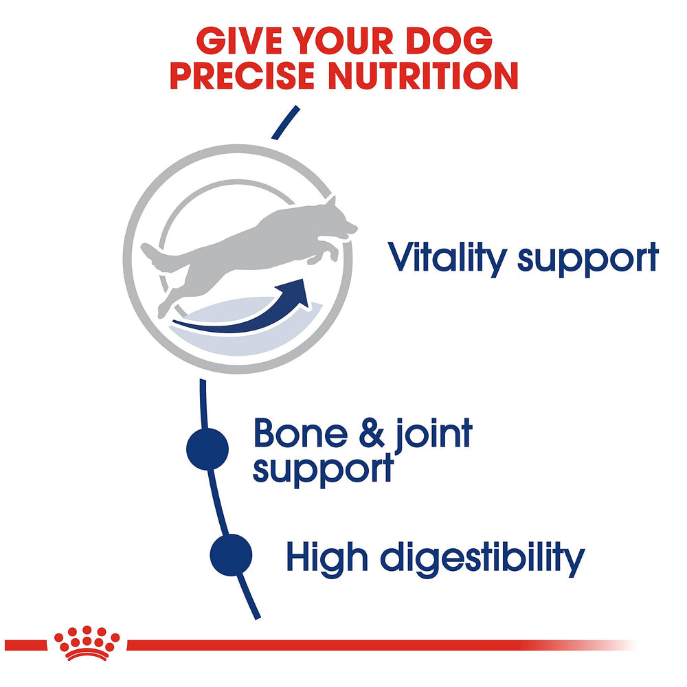Large Adult 5+ Dry Dog Food for Older Dogs, 30 lb bag