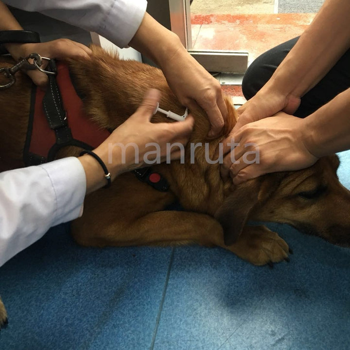 20-Pack ISO Compliant Transponder RFID Microchip Tag