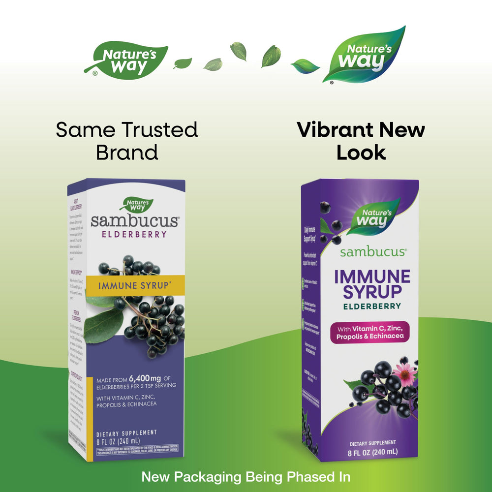 Sambucus Immune Syrup, Elderberry Extract, Vitamin C, Zinc, Echinacea, Propolis, Daily Immune Support*, Antioxidant Support*, Gluten free, Vegetarian, 8 Fl Oz (Packaging May Vary)