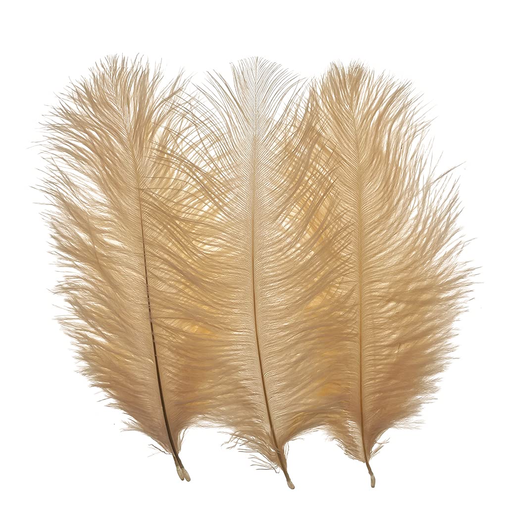 50pcs 8-10inches Ostrich Feathers Craft for Wedding Party centerpieces Home Decoration (Champagne)