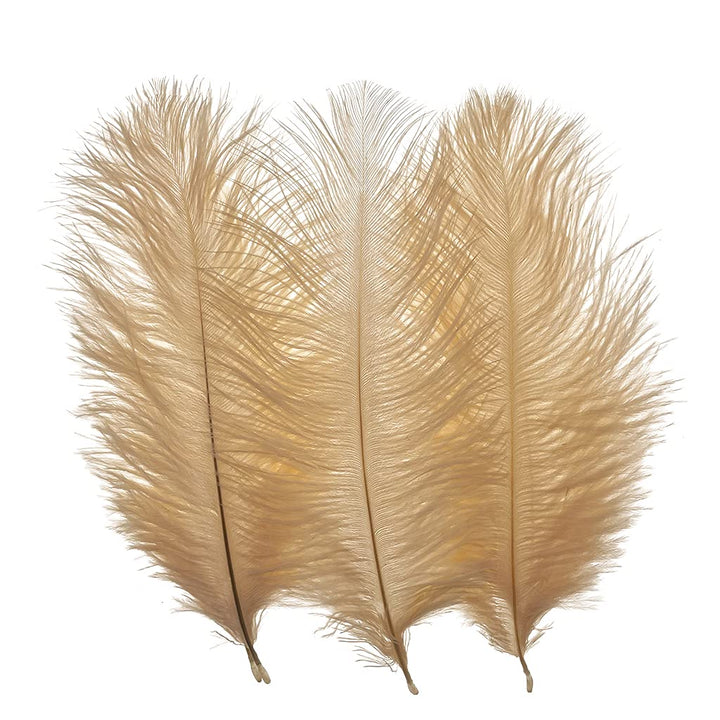 50pcs 8-10inches Ostrich Feathers Craft for Wedding Party centerpieces Home Decoration (Champagne)