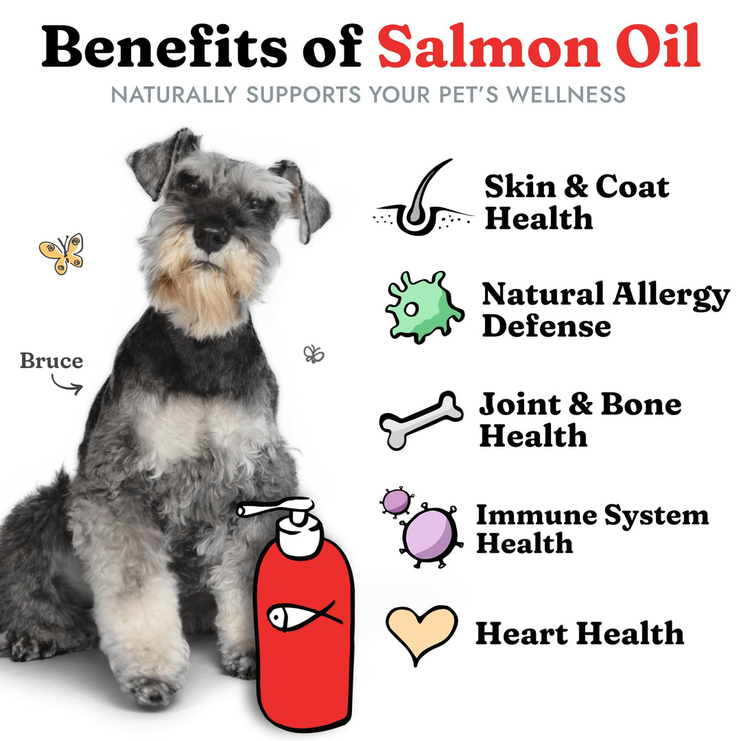 Salmon Oil for Dogs &amp; Cats - Healthy Skin &amp; Coat, Fish Oil, Omega 3 EPA DHA, Liquid Food Supplement for Pets, Supports Joint &amp; Bone Health, Natural Allergy &amp; Inflammation Defense, 16 oz