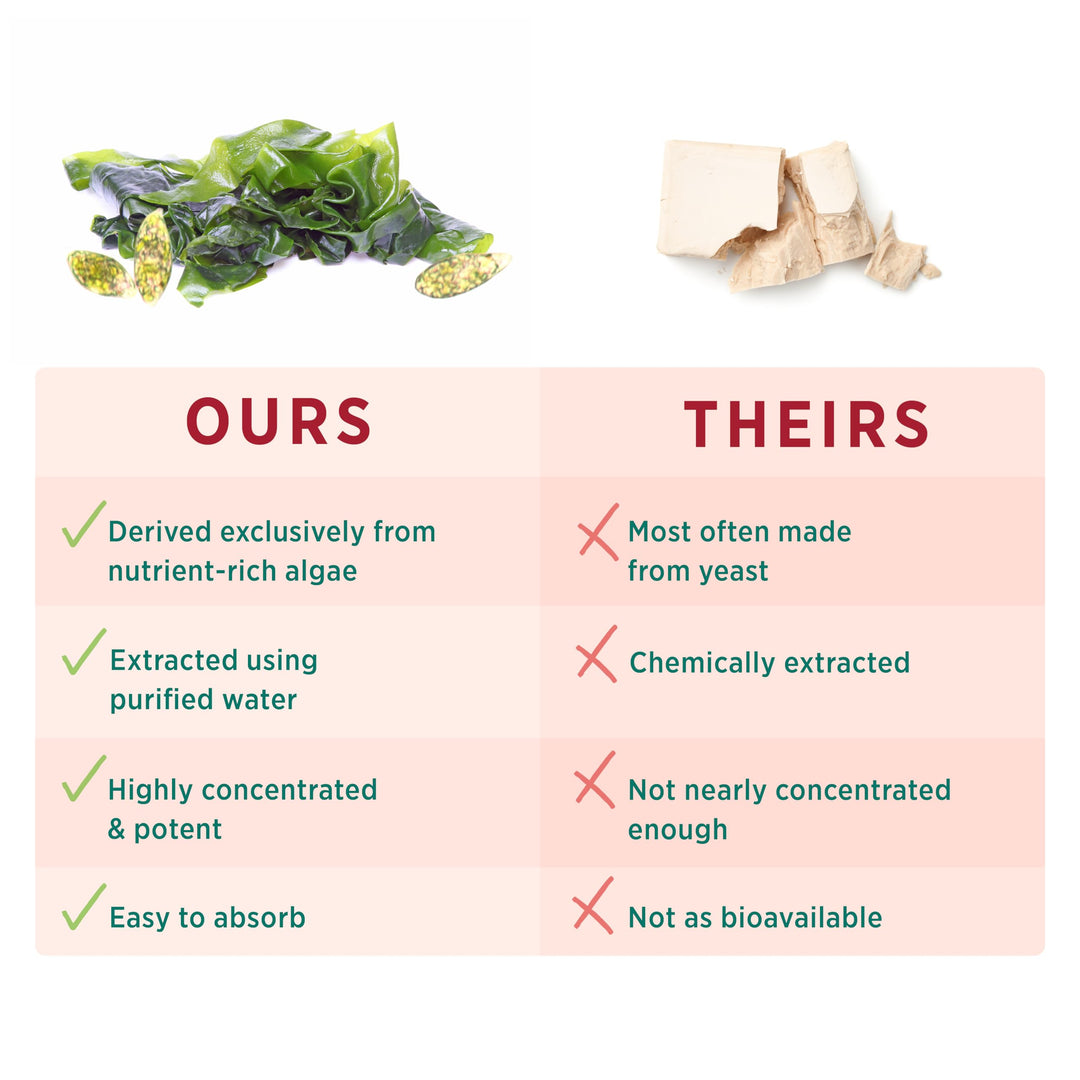 SuperPure Beta 1,3-Glucan Extract | 500 mg Beta 1,3-Glucan Supplement from Algae | Yeast-Free, Non-GMO, Standardized Extract | Supports Immune Health &amp; Digestion (60 Capsules)