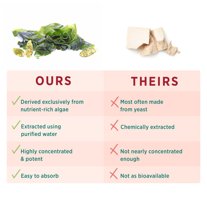 SuperPure Beta 1,3-Glucan Extract | 500 mg Beta 1,3-Glucan Supplement from Algae | Yeast-Free, Non-GMO, Standardized Extract | Supports Immune Health &amp; Digestion (60 Capsules)